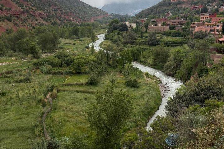Private Tour to Ourika Waterfalls, Atlas Mountains & River Lunch
