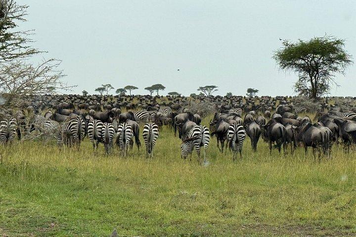 Shared Nairobi 4WD Adventure for 3 Days