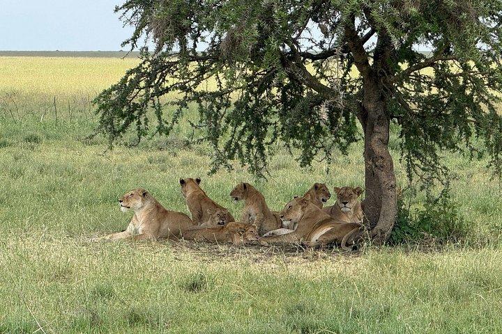 Shared Nairobi 4WD Adventure for 3 Days