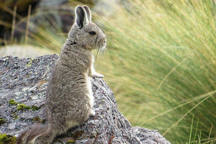 アウサンガテ山の7つの湖へのハイキング