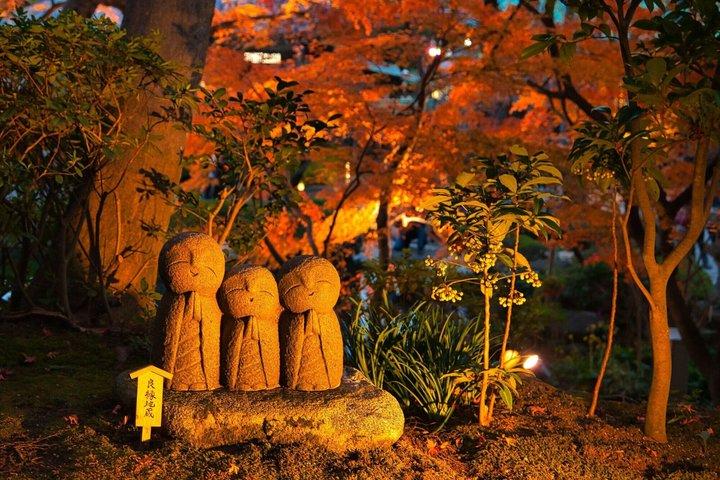 Hidden Kamakura Randonnée Temples zen Forêt de bambous et Grand Bouddha