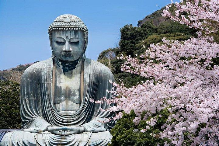 隠れた鎌倉ハイキング禅寺竹林と大仏