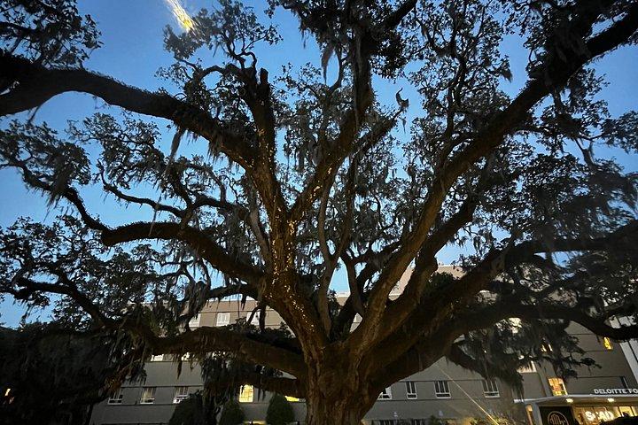 Interactive Paranormal Ghost Walking Tour in Savannah Georgia