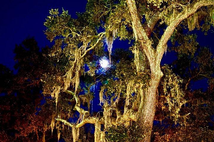 Interactive Paranormal Ghost Walking Tour in Savannah Georgia