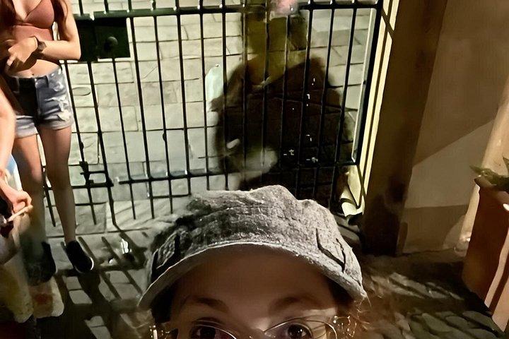 Interactive Paranormal Ghost Walking Tour in Savannah Georgia