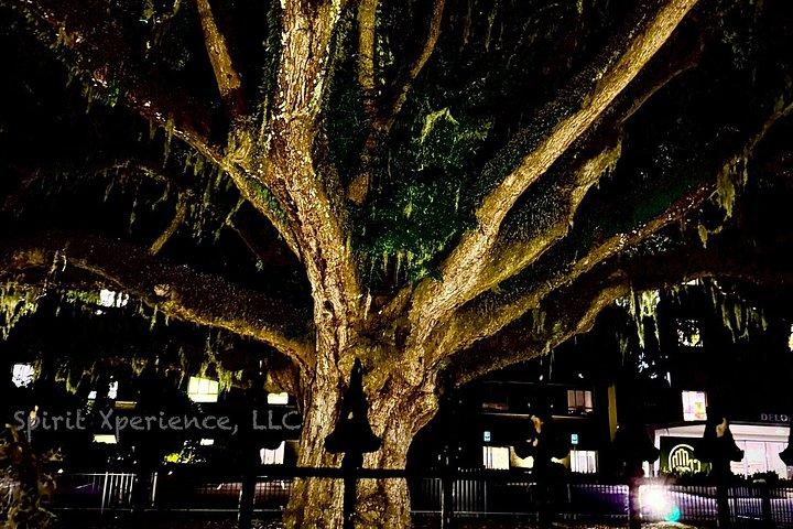 Interactive Paranormal Ghost Walking Tour in Savannah Georgia