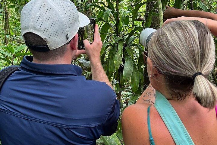 テノリオ火山国立公園リオセレステの滝へのハイキング