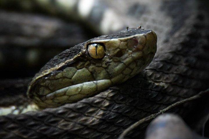 テノリオ火山国立公園リオセレステの滝へのハイキング