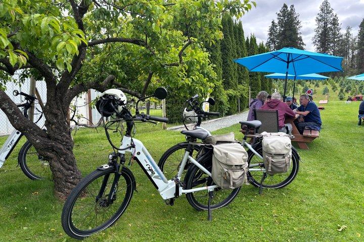 Kelowna E-Bike Bee Tour, degustações, almoço orgânico e guia de áudio