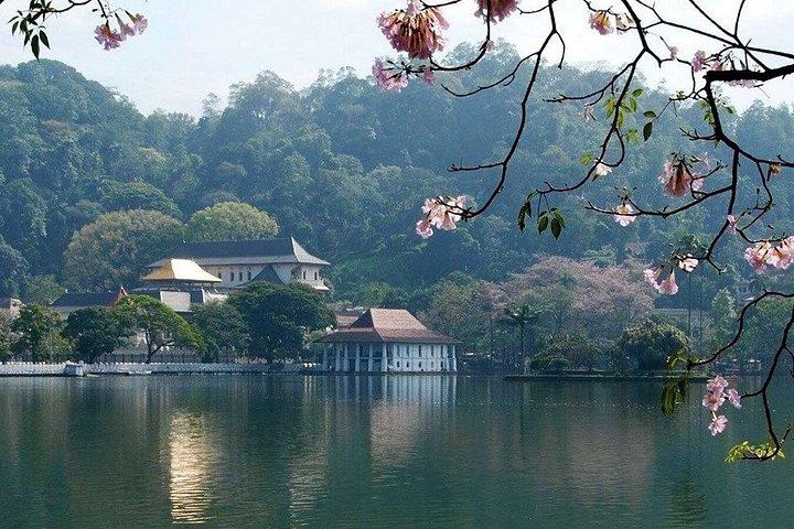 スリランカ 11日間プライベート文化ツアー シギリヤ、キャンディ、ガレ
