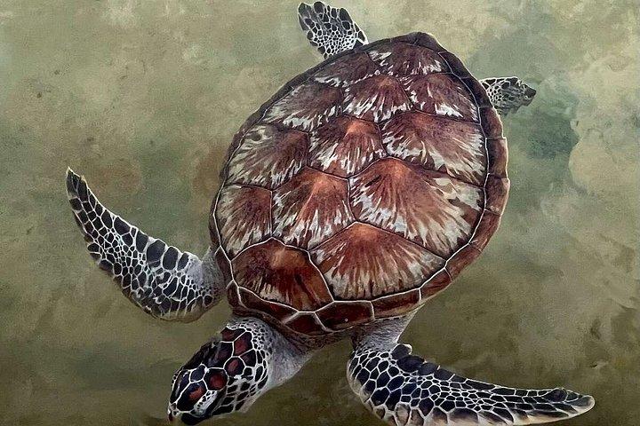 スリランカ 11日間プライベート文化ツアー シギリヤ、キャンディ、ガレ