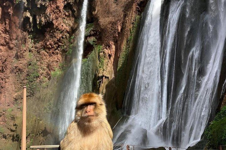 Marrakesh: Ouzoud Waterfalls & Boat Trip & Local Guide