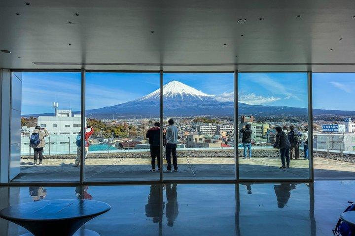Mt Fuji World Heritage Private Tour by Bullet Train and Car