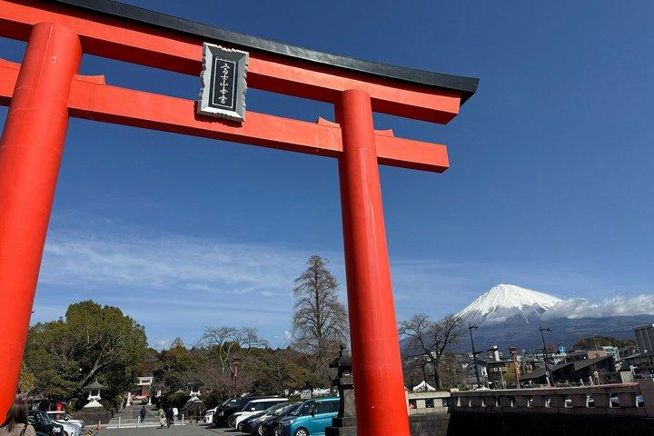 Mt Fuji World Heritage Private Tour by Bullet Train and Car