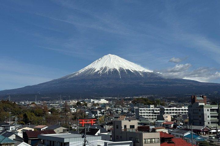 Mt Fuji World Heritage Private Tour by Bullet Train and Car