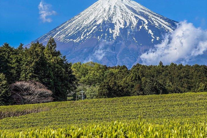 Mt Fuji World Heritage Private Tour by Bullet Train and Car