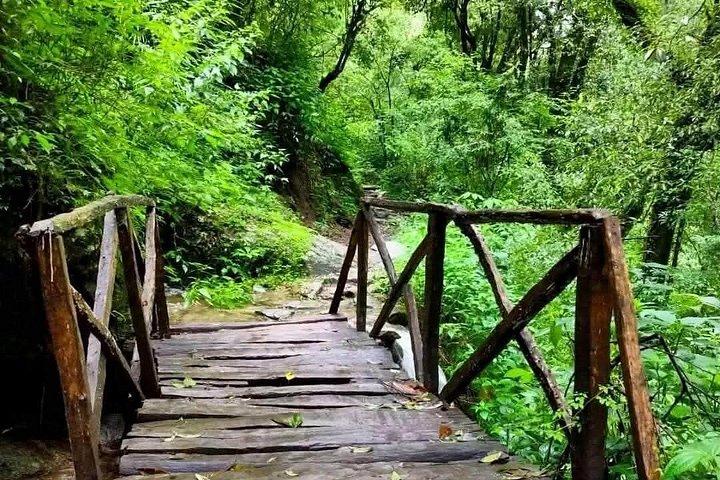 8 Days Langtang Valley Trek from Kathmandu