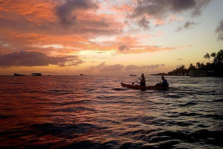 Sunset Kayak and Snorkel Tour at Mangel Halto Aruba