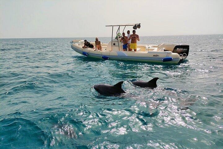 Private Dolphin Watching And Snorkeling Tour