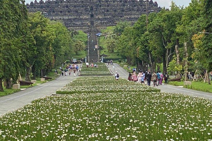 ジョグジャカルタ現地ドライバー – プライベートカー＆オーダーメイドツアー