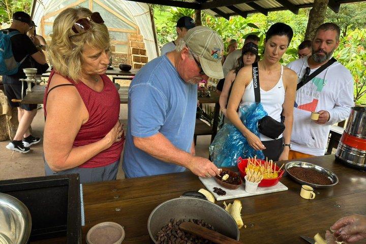 Bijagua de Upala: Chocolate, Coffee & Pineapple Farm Tour