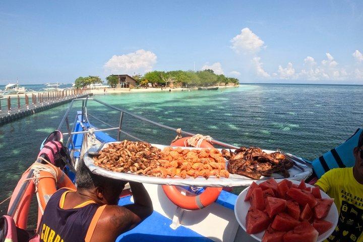 Bohol: Turtle Sanctuary Snorkel og bådtur med frokost