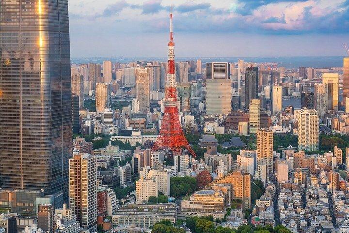 Tokyo Private Tour with Custom Itinerary And English Driver Guide
