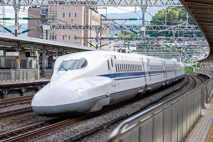 東京から新幹線で行く奈良・京都日帰りプライベートツアー