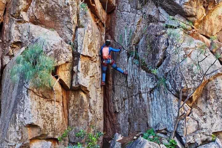 テネリフェのフェラタ通りにある初心者向けバーティカルアドベンチャーパーク