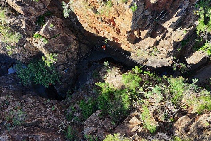 テネリフェのフェラタ通りにある初心者向けバーティカルアドベンチャーパーク
