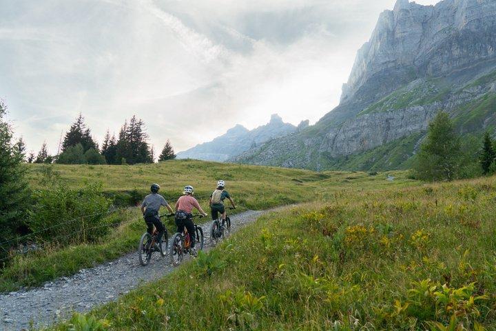Chamonix: Panorama Mont-Blanc E-Bike-Tour für Anfänger