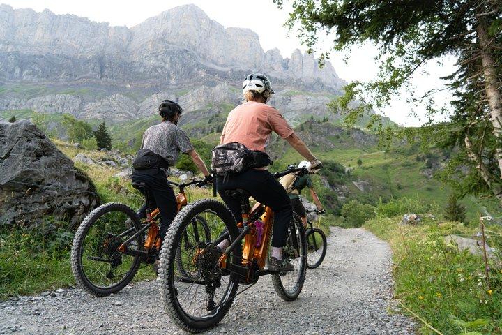 Chamonix: Panorama Mont-Blanc E-Bike-Tour für Anfänger