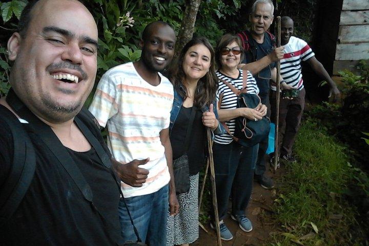 Excursão de café de um dia e cachoeiras Materuni