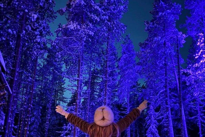Levi : Tour Aurora Boreale ed esperienza di osservazione delle stelle