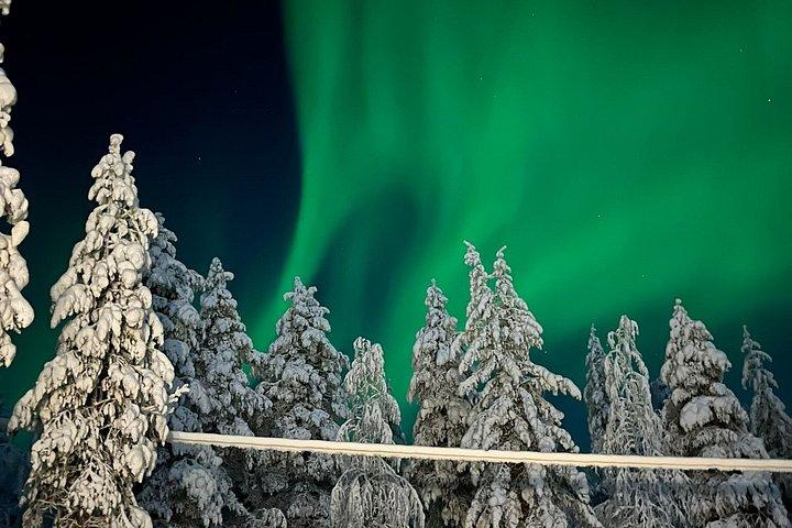 Levi : Tour Aurora Boreale ed esperienza di osservazione delle stelle