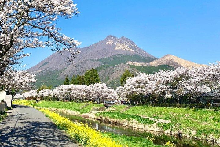 Yufuin, Dazaifu & no Mori Sightseeing com Beppu Ropeway | Fukuoka
