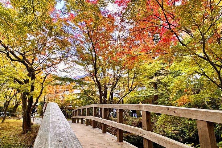 別府ロープウェイで湯布院・太宰府・森観光|福岡