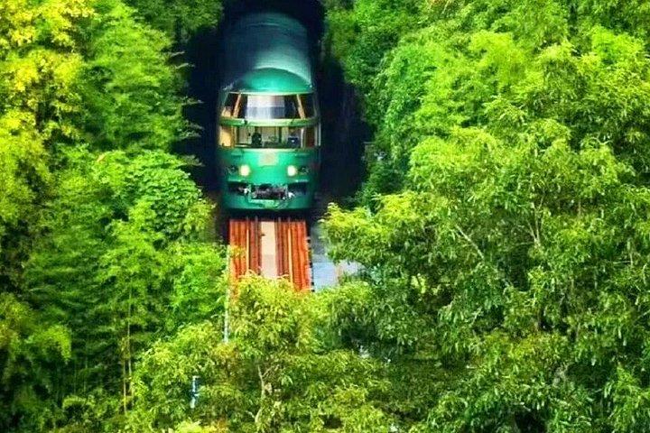 別府ロープウェイで湯布院・太宰府・森観光|福岡