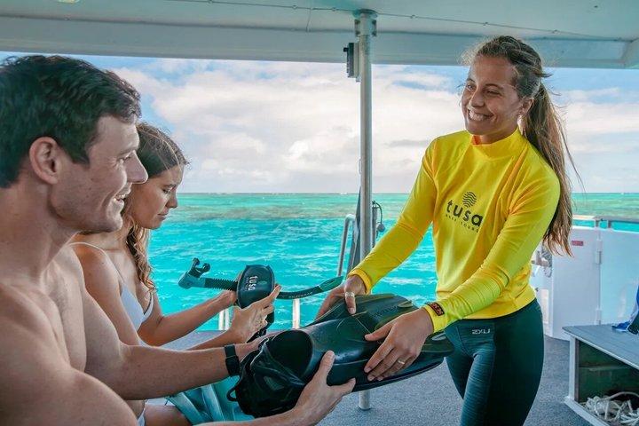 Premium Half-Day Outer Reef Snokel Tour