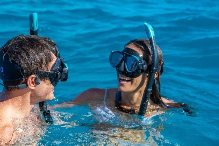 Premium Half-Day Outer Reef Snokel Tour