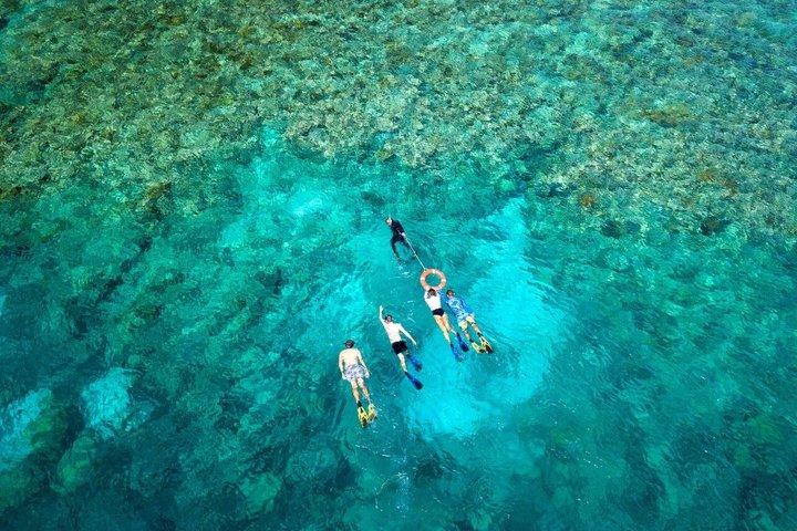 Premium Half-Day Outer Reef Snokel Tour