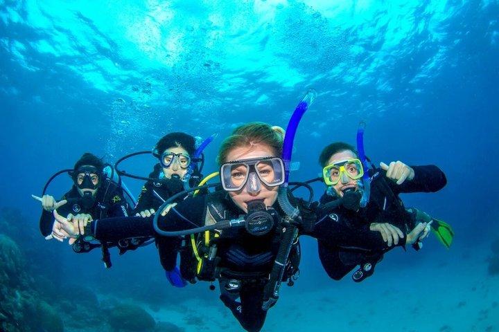 Premium Half-Day Outer Reef Snokel Tour