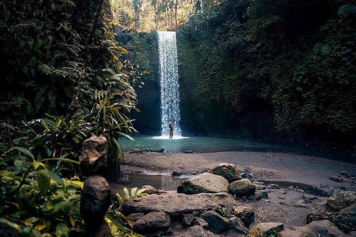Ubud Private Tour : Tirta Empul, Rice Terraces & Waterfalls
