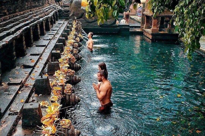 Ubud Private Tour : Tirta Empul, Rice Terraces & Waterfalls