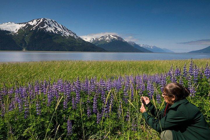 Turnagain Arm Highlights Photo Tour