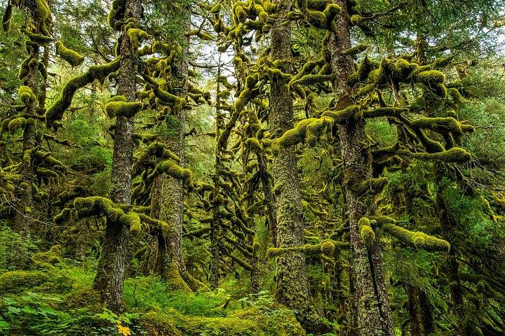 Turnagain Arm Highlights Photo Tour