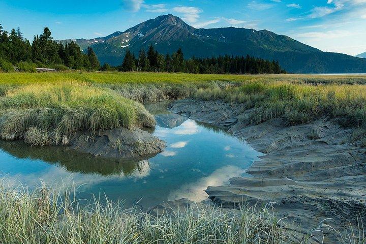 Turnagain Arm Highlights Photo Tour