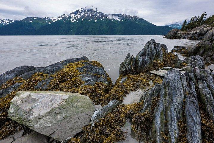 Turnagain Arm Highlights Photo Tour