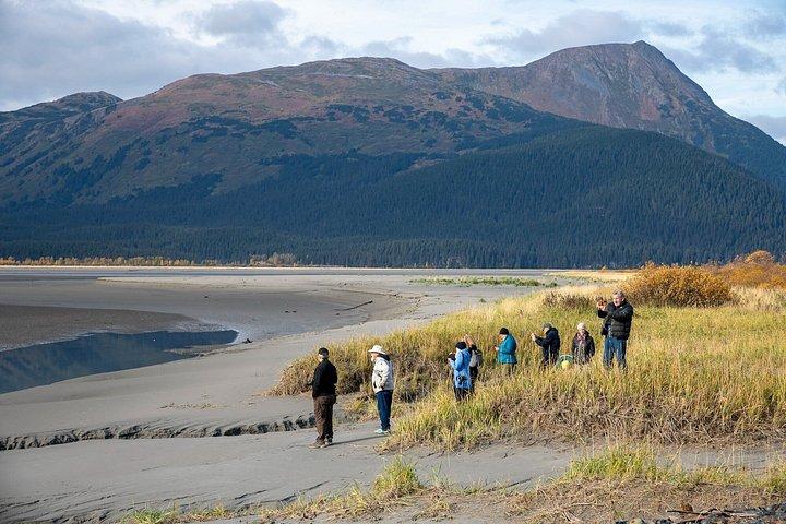 Turnagain Arm Highlights Photo Tour