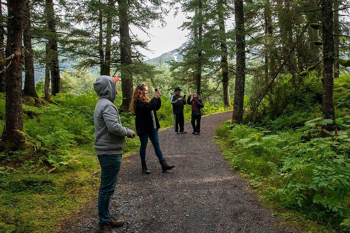 Turnagain Arm Highlights Photo Tour